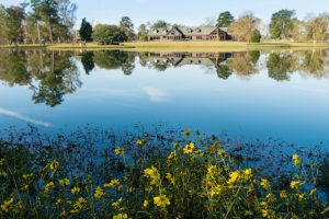 Opiate Rehab Centers Near Orangeburg, S.C. - waypoint pond flowers - waypoint recovery center