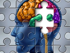 Alcohol's Damaging Effects on the Brain - brain damage