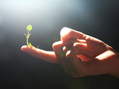 Adopting-a-Growth-Mindset-for-Addiction-Recovery - seedling on finger