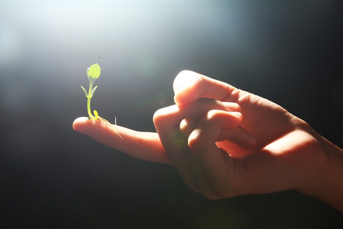 Adopting-a-Growth-Mindset-for-Addiction-Recovery - seedling on finger