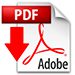 Download PDF image