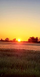 sunset - Waypoint Recovery Center - South Carolina addiction treatment center