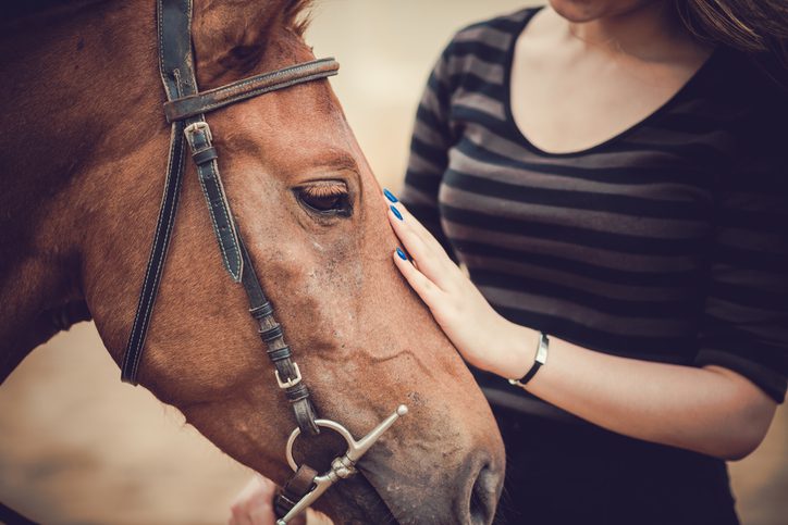 Equine-assisted therapy