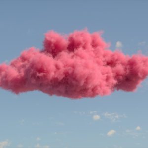 Recovery Management, Pink Cloud