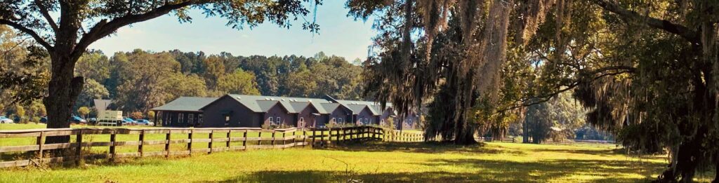 A wooden fence runs along a grassy field with large trees and hanging moss. Several dark-roofed buildings are visible in the background under a blue sky.