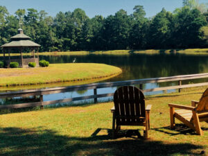Two wooden chairs face a small lake with a wooden gazebo on the left. A heron stands on the grass by the water, surrounded by trees under a clear blue sky. A wooden fence runs along the foreground.