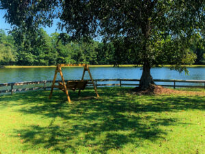 A wooden swing sits under a large tree, casting shade on the grass, near a wooden fence by a calm lake with trees in the background.