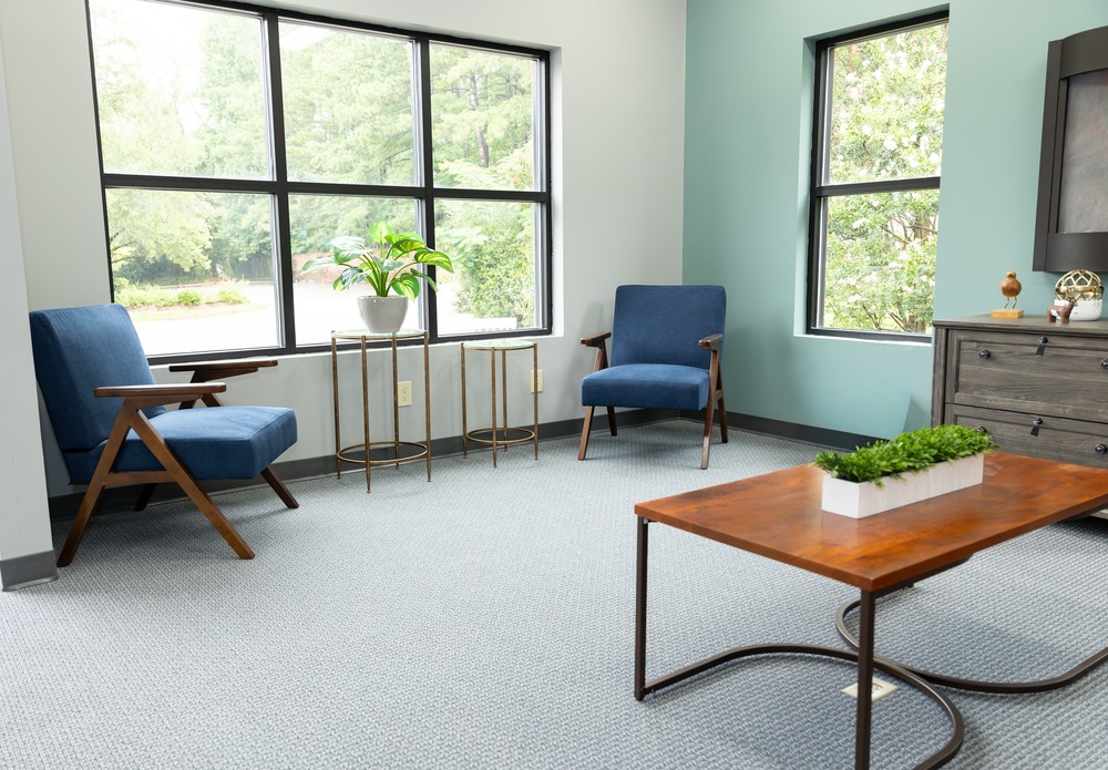 A modern waiting room with two blue chairs, a wooden coffee table, indoor plants, large windows, and light blue-gray walls. Sunlight brightens the cozy, clean, and inviting space.