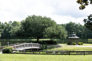 A wooden bridge leads to a large tree by a calm lake, with a small gazebo nearby. Lush greenery surrounds the peaceful waterside scene.