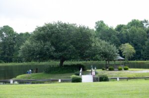 A large tree and a small gazebo stand by a calm lake. A few people sit and fish near the water. The area is surrounded by grassy fields and dense green trees.