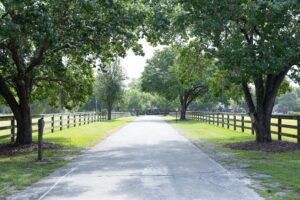 A paved path lined with wooden fences and large trees stretches into the distance on a sunny day, with green grass and leafy branches providing shade.