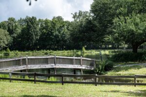 A wooden footbridge crosses a pond surrounded by green grass, trees, and a wooden fence, with a cloudy sky in the background.