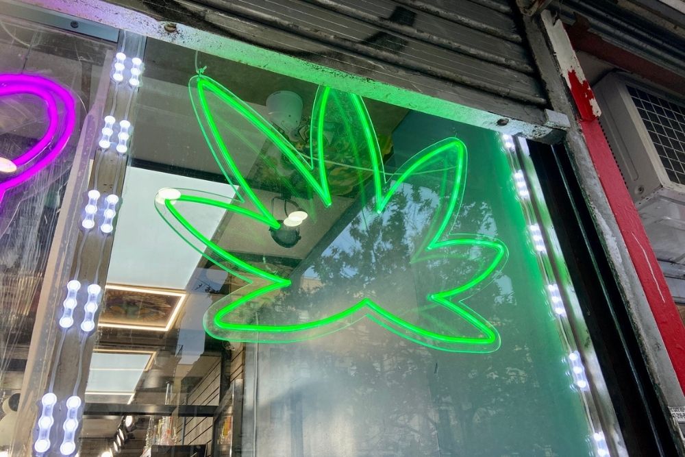 A green neon light in the shape of a cannabis leaf is displayed in a window, with reflections of buildings and lights visible on the glass.