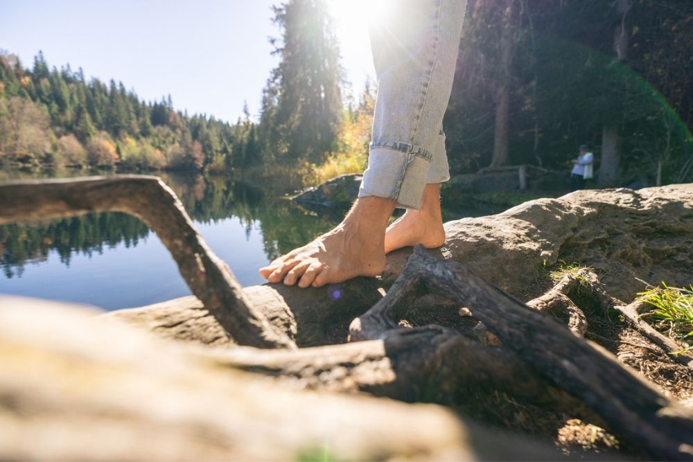 A person with rolled-up jeans stands barefoot on tree roots near a lake, with sunlight shining through forest trees in the background.